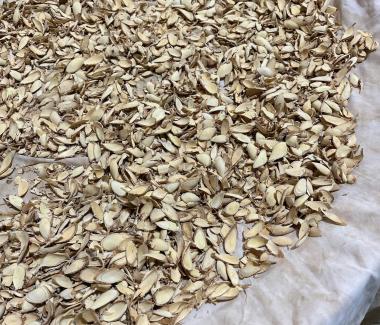 Tác dụng của nhân sâm với sức khỏe