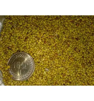 通天草~狗尾草~台灣人蔘~元氣的食材