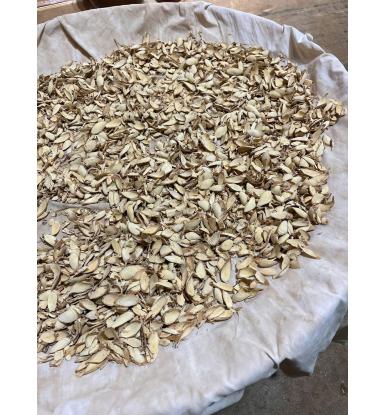 Tác dụng của nhân sâm với sức khỏe