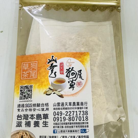 狗尾草~通天草
